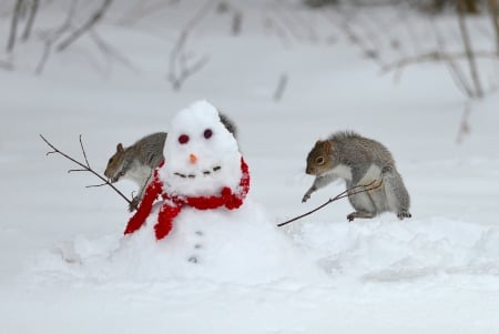 :D - snowman, veverita, squirrel, couple, iarna, winter, scarf, funny, white, red, snow, animal, cute