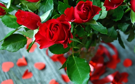 Roses - green, red, trandafir, rose, flower, petals