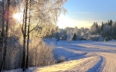 Winter Road in Latvia - hoarfrost, trees, snow, winter, birches, latvia, road