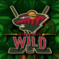 Minnesota Wild Hockey sticks