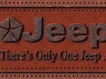 Jeep Chrysler rust logo