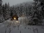 Winter cabin