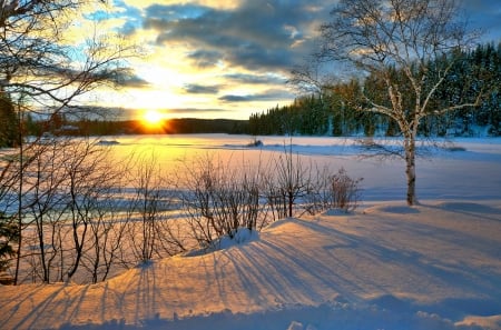 Winter sunset - clouds, cold, trees, sky