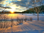 Winter sunset