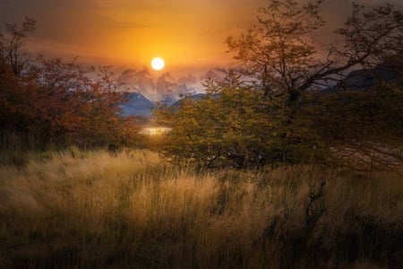 Sunset - tree, nature, sunset, sun