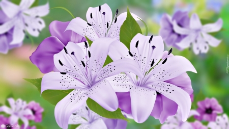 purple flowers - flowers, beauty, nature, purple