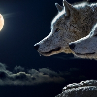 Wolfmoon