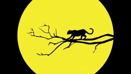 :-) - moon, silhouette, cat, branch, pisici, jaguar, yellow, jungle, luna, black panther