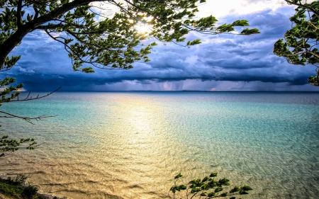 Cloudy Lake - lake, tree, shore, coast