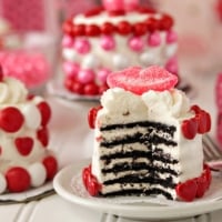 Valentine Day Mini Cakes