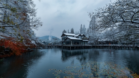 Winter park - hangzhou, trees, winter, park, house