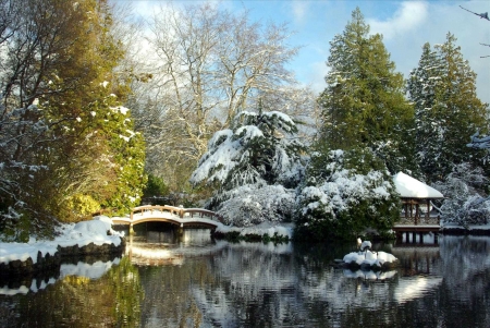 Winter in Park - ice, trees, snow, water, pond, gazebo, bridge