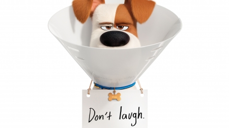 The secret life of pets 2 - animation, poster, movie, dog, the secret life of pets 2