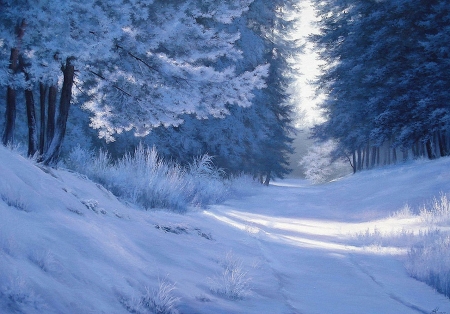 Winter Serenity - path, trees, winter, artwork, snow, forest