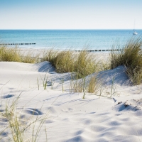 Beach in Winter