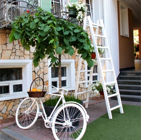 Summer_House - white, windows, ladders, frames, house, bicycle