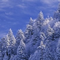 Smoky Mountains winter wallpaper