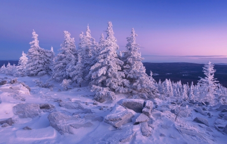 Winter evening - Trees, Nature, Mountain, Stones, Landscape