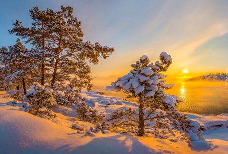 Winter lake - sunset, beautiful, snow, fiery, sunrise, golden, reflection