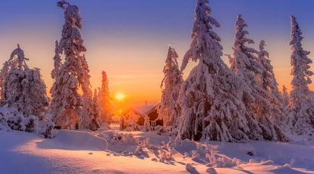 Winter sunset - sky, trees, fiery, mountain, sun, beautiful, winter, sunset