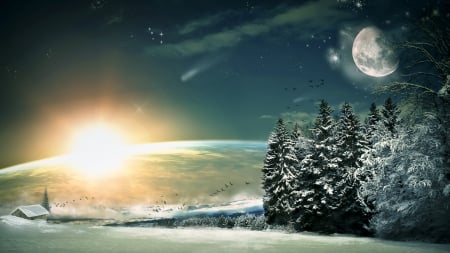 Winter world - moon, trees, winter, fantasy, birds