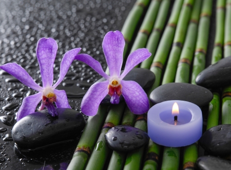 Spa backgroind - flowers, drops, orchids, bamboo, stones