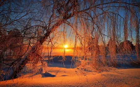 Winter Lake - winter, nature, lake, sunset