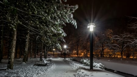 Winter evening - Alley, Lights, Park, Night, Bench