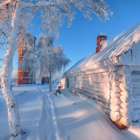 Winter countryside