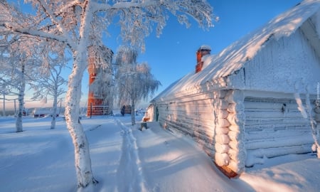 Winter countryside - countryside, wooden, winter, beautiful, frost, house, cabin, snow