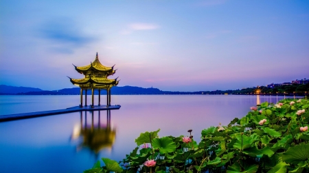 Lotus and Pavilion - flowers, lotus, trees, nature, pavilion, lake, china, plant