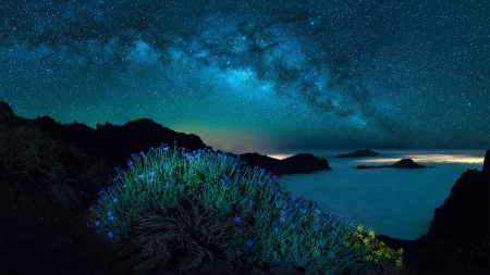 Milky Way and Polar Lights - milky, nature, starry, lights, sea, night, sky