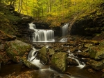 Forest waterfall