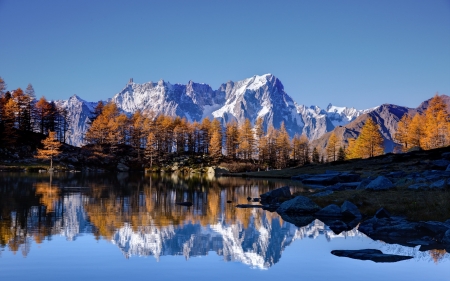 panoramic view - mountains, 4k, trees, snow