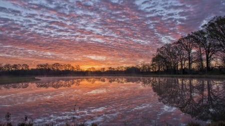 Water Reflections - nature, sky, lake, trees, reflection, water