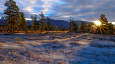 Sunset Over The Mountains - clouds, trees, glade, grass, forest, dawn, sunset, nature, frost, mountains, sun