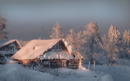 A winter cold day - winter, house, cold, snow