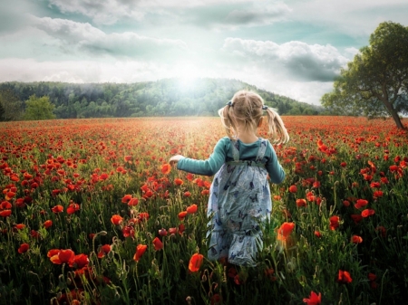 Little Girl - flowers, field, children, joy