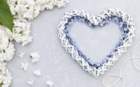 Happy Valentine's Day! - white, heart, blue, valentine, lilac, card, flower