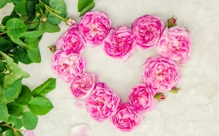 Happy Valentine's Day! - pink, heart, card, peony, green, valentine, bujor, flower