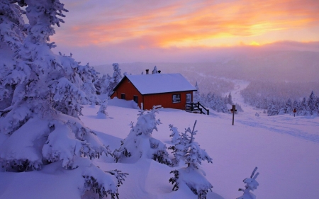 Winter landscape - trees, snow, winter, house, sunset