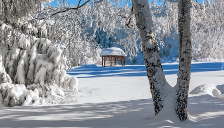 January - trees, frost, snow, january, park, winter, gazebo