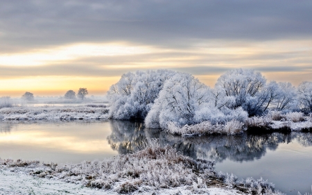 Winter River - trees, frost, river, snow, winter, germany