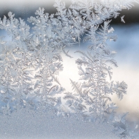 Frost Flowers