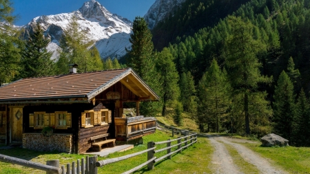 Little Log Cabin - trees, alps, nature, cabin, austria, forest, hut