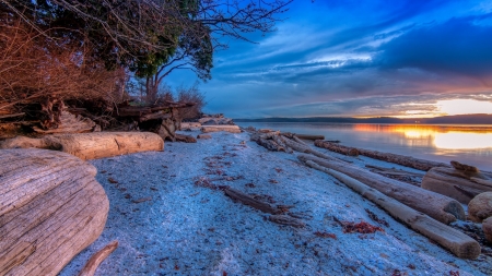 Riverside in Numata (Japan) - river, trees, shore, nature, beach, riverside, sky