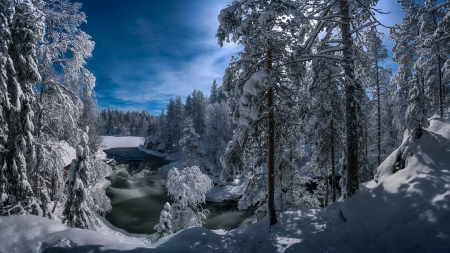 Winter landscape - Trees, River, Forest, Winter