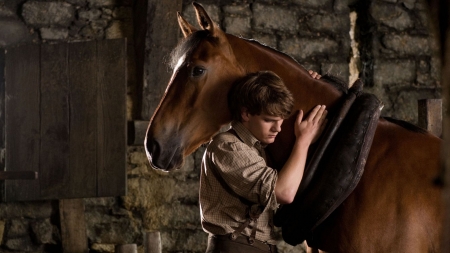 War Horse - horse, film, boy, steven spielberg