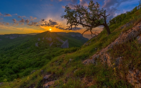 Sunset Over the Mountains - nature, crimea, trees, forest, russia, sunset, mountains