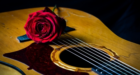 :-) - guitar, red, instrument, rose, flower